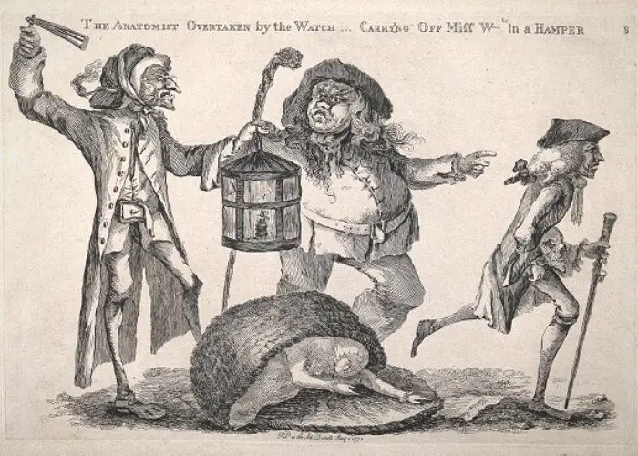 Body snatching The Parish Watch via Wellcome Images