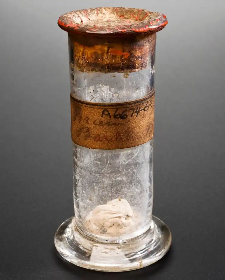 William Burke Brain in Jar via National Science Museum