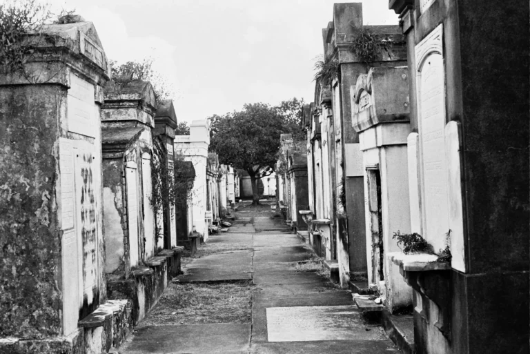 new orleans graveyard